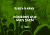 numeros que mais saem na mega da virada