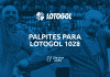 programacao lotogol 1028