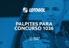 lotogol 1036 programacao e palpites
