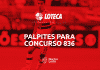 programacao-lotogol-836