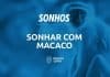 sonhar com macaco
