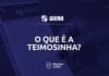 teimosinha quina
