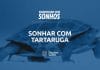 sonhar com tartaruga