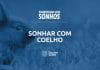sonhar com coelho