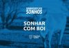 significado-sonhar-com-boi