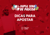 jogar e aumentar as chances na Dupla